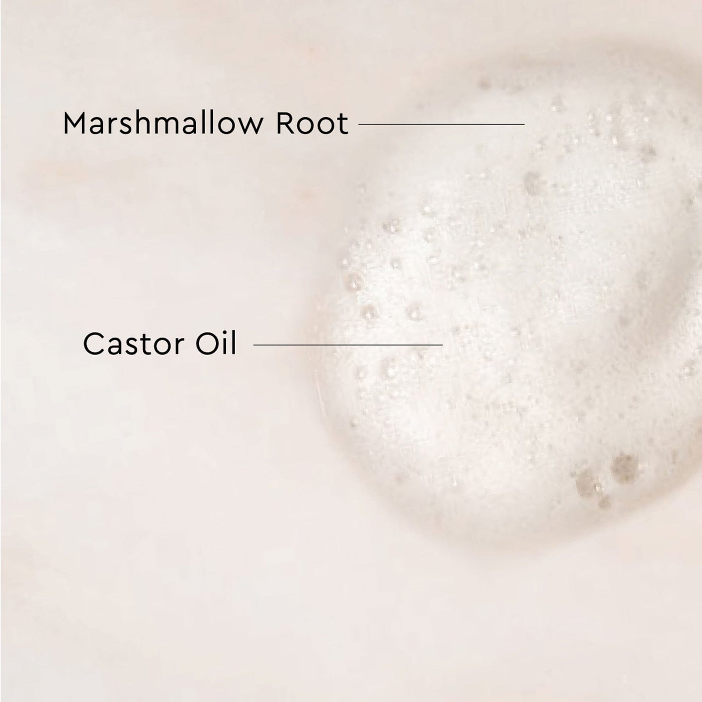 Palo Santo Curl Mousse